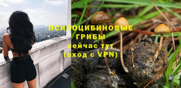 крисы Алексин