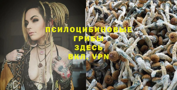 мяу мяу кристалл Алзамай